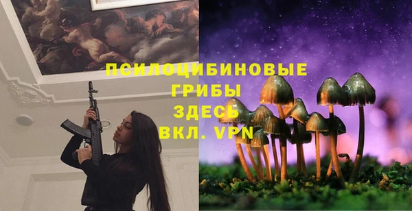 эйфоретик Дмитровск