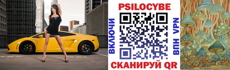 Галлюциногенные грибы GOLDEN TEACHER  купить наркотик  Королёв 