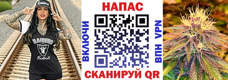 Бошки марихуана марихуана Королёв